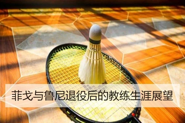 菲戈与鲁尼退役后的教练生涯展望