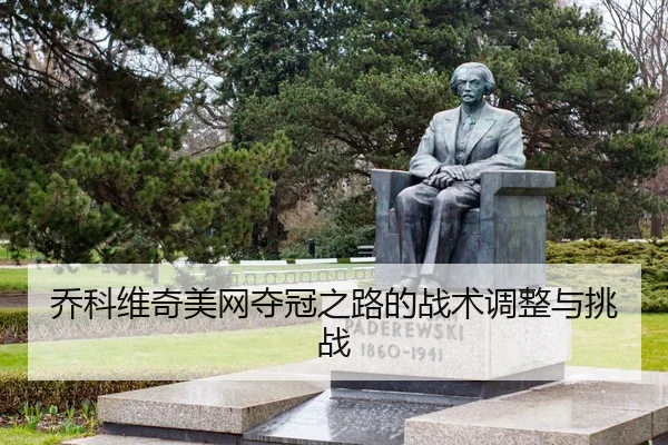 qiao-ke-wei-qi-mei-wang-duo-guan-zhi-lu-de-zhan-shu-tiao-zheng-yu-tiao-zhan-2-499.jpg