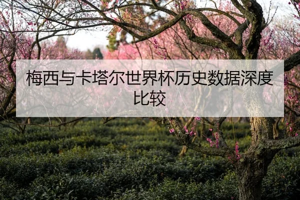 梅西与卡塔尔世界杯历史数据深度比较